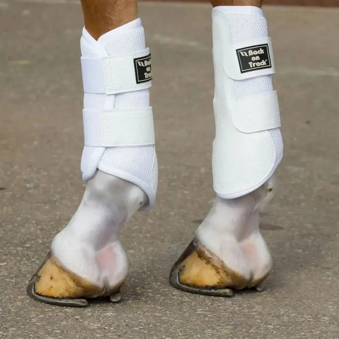 3D Mesh Splint Boots | Brushing Boots