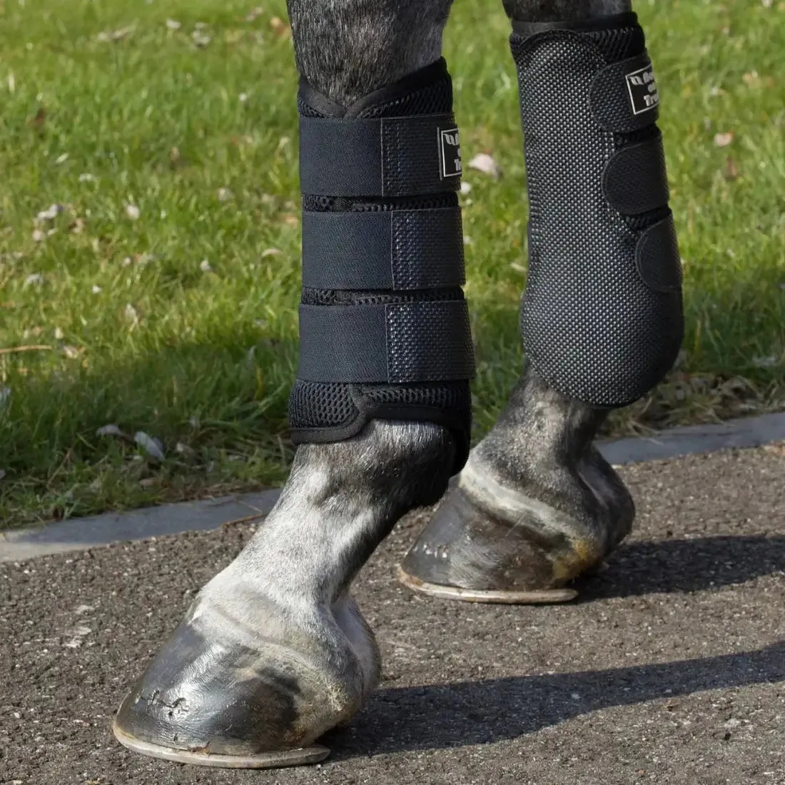 3D Mesh Splint Boots | Brushing Boots